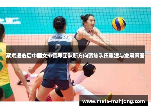蔡斌退选后中国女排领导团队新方向聚焦队伍重建与发展策略