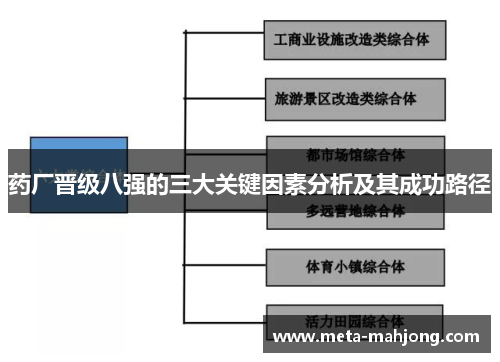 药厂晋级八强的三大关键因素分析及其成功路径
