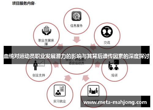 血统对运动员职业发展潜力的影响与其背后遗传因素的深度探讨